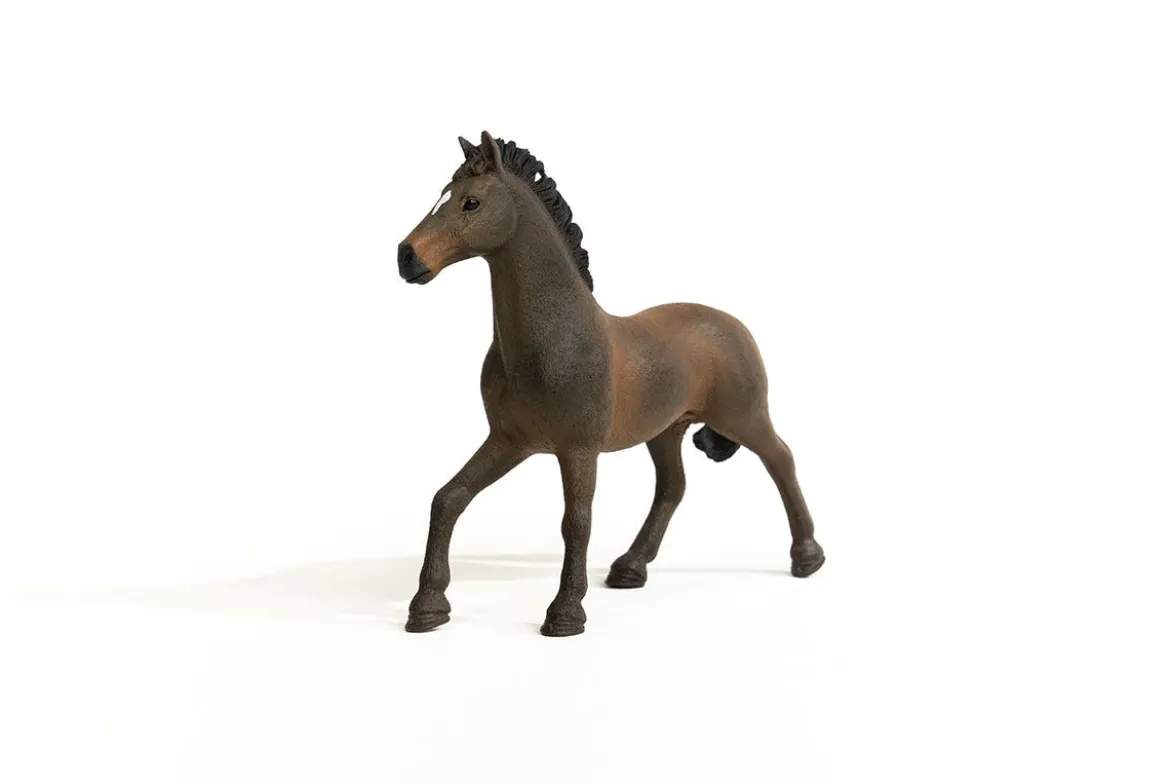 Étalon oldenbourg