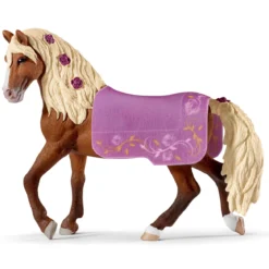Étalon Paso Fino Spectacle équestre