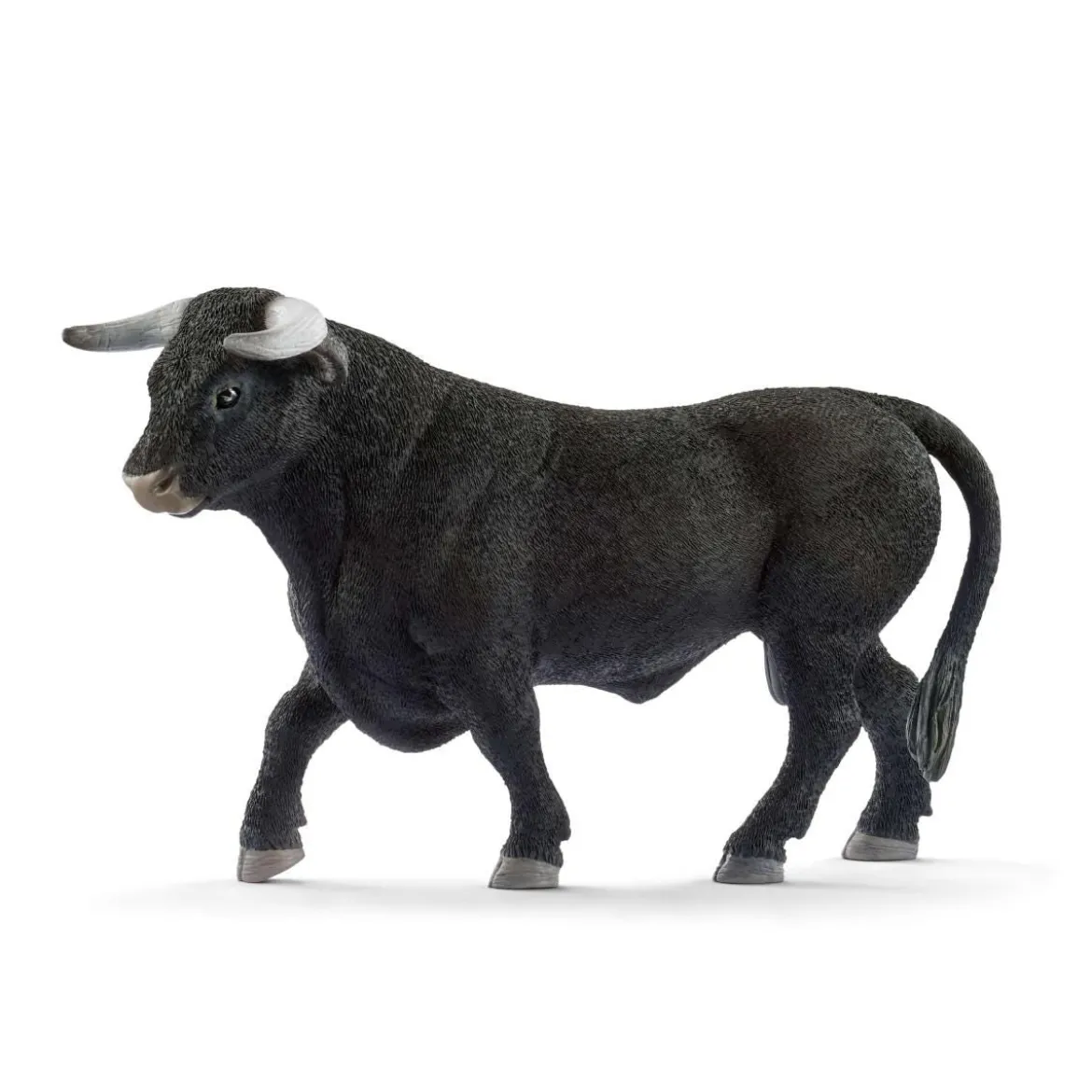 Taureau noir