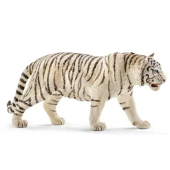 Tigre blanc mâle