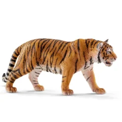 Tigre du Bengale mâle