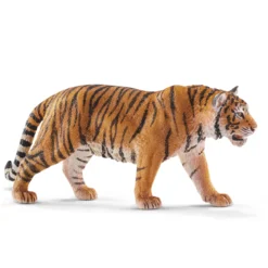 Tigre du Bengale mâle (Bundle)