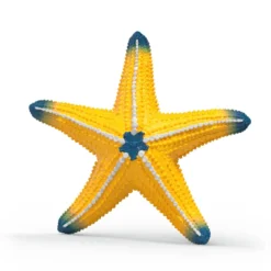 Étoile de mer changeant de couleur