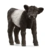 Veau Galloway