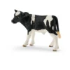 Veau Holstein