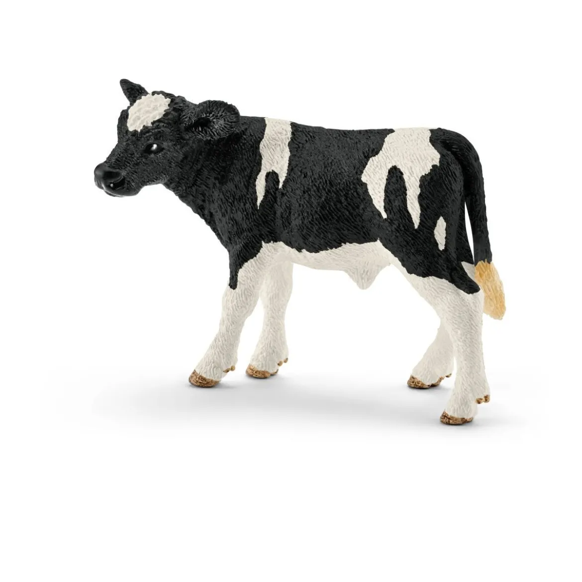 Veau Holstein