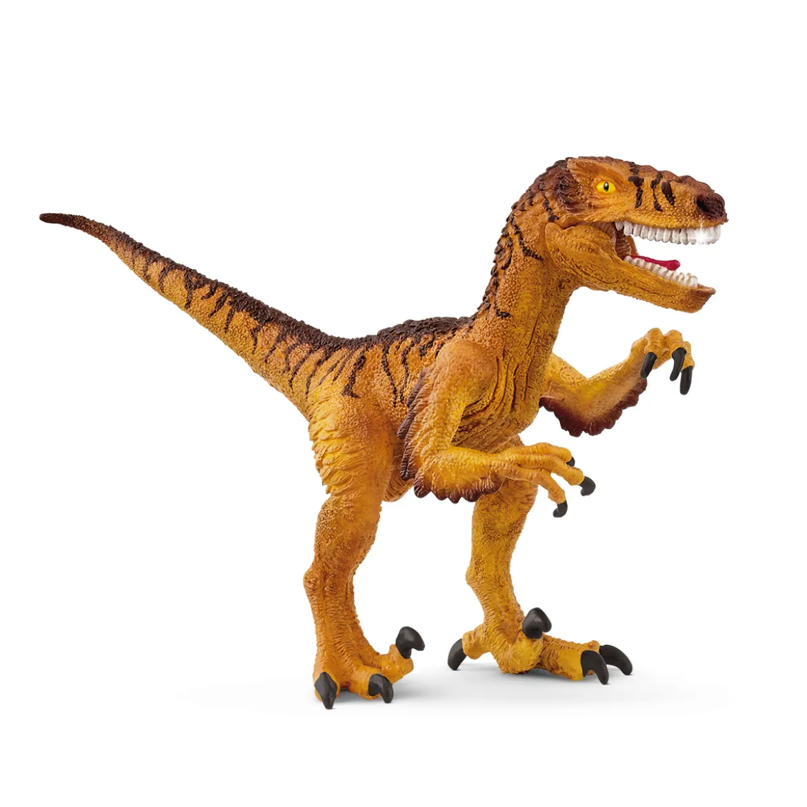 Vélociraptor